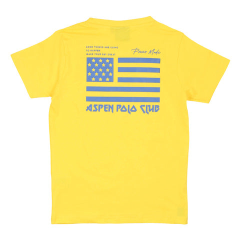aspen polo club - T-shirt